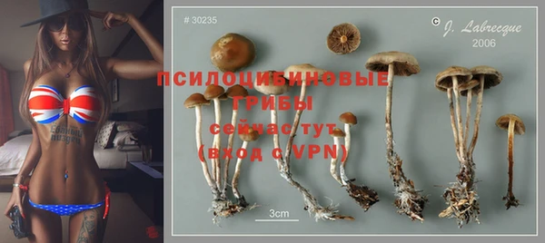 мескалин Богородск