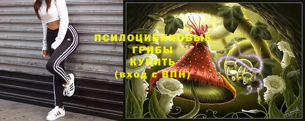 мескалин Богородск
