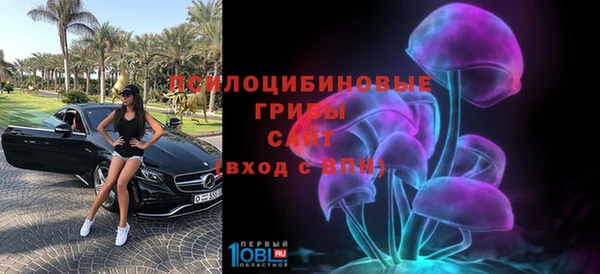амфетамин Богданович