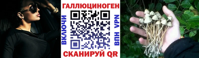 hydra зеркало  Ейск  Галлюциногенные грибы мицелий 