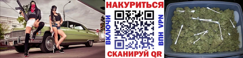 цены   Ейск  Бошки марихуана индика 